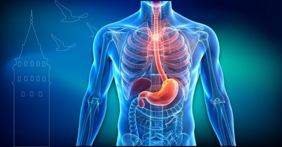 Sindirim Sistemi Kanserleri Tedavi Şekli | Prof. Dr. Onur Bayraktar