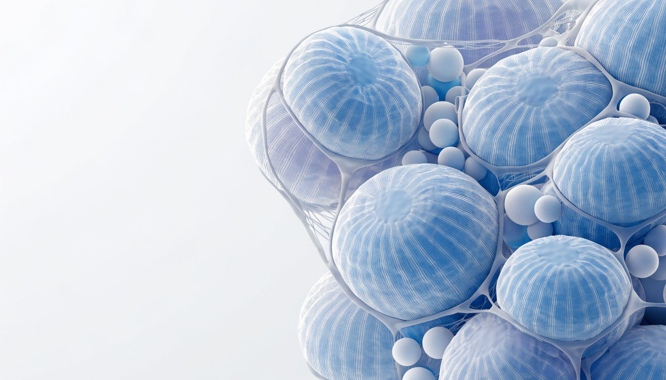 Prof. Dr. Onur Bayraktar tedavi görseli