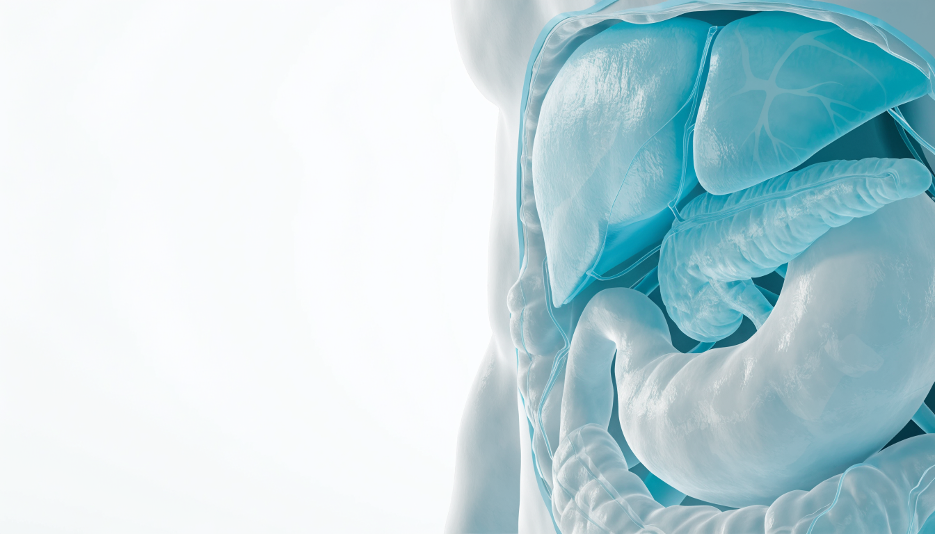 Üst gastrointestinal sistem onkoloji cerrahisi görseli
